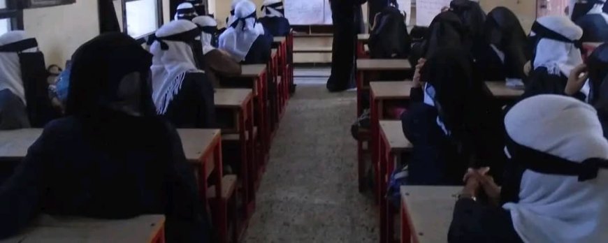 image 870x 66cf50dee6b47