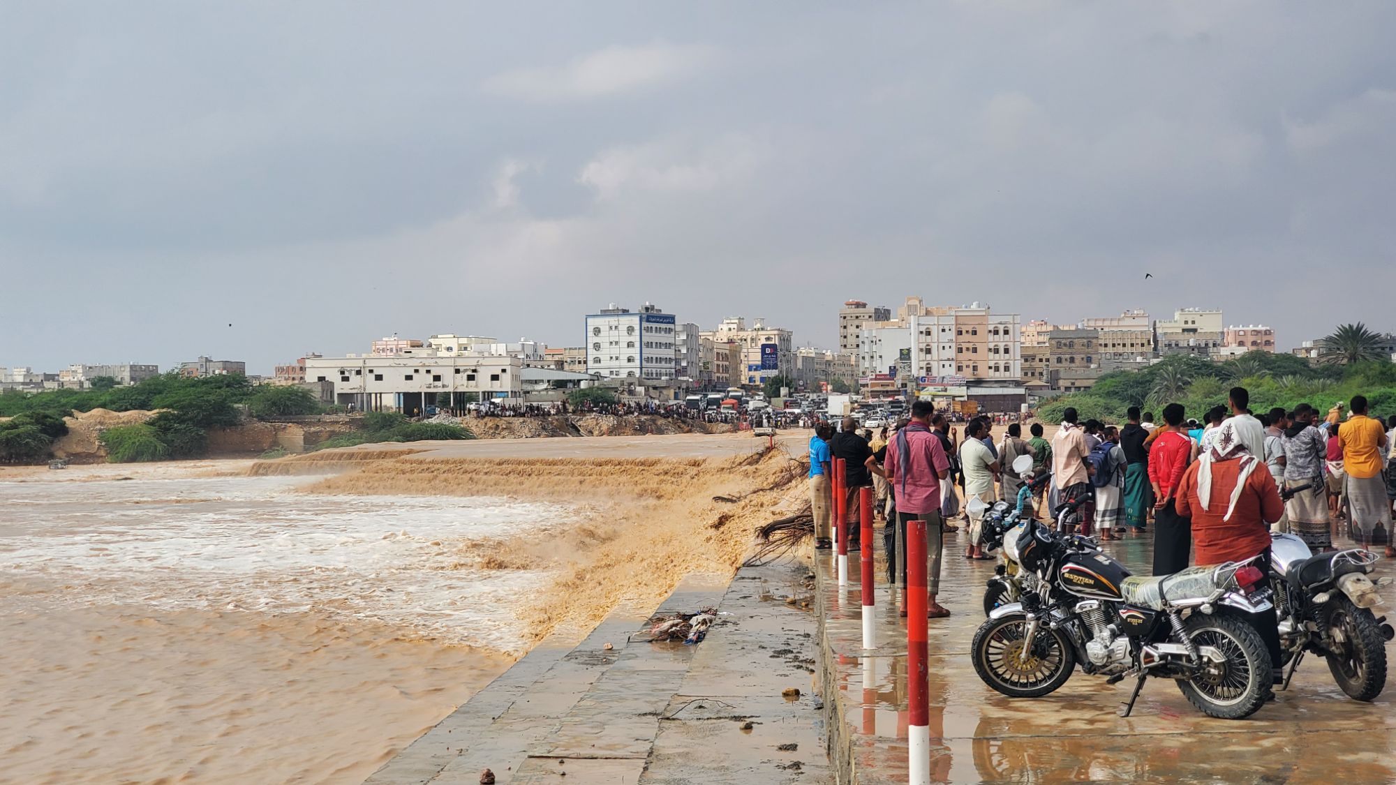 ٠٩ ١٩ ٠٦ ٢٠٢٤١١٢١ ٠٨٤٠٣٢3214293581979214558 1