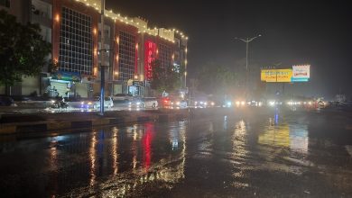 ٢٠٢٤١١٢٠ ٢٣١١٣٧