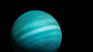 img ٢٠٢٥٠٨٣٠ ١١٥٠٠٥