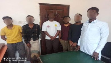 9a551480 11bb 4bb8 b8f4 3bffd91fc04f