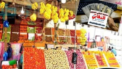 img ٢٠٢٥١٠٢١ ٠٧٣٥٢٦