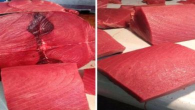 img ٢٠٢٥١٠٢١ ٠٧٤١٠٩