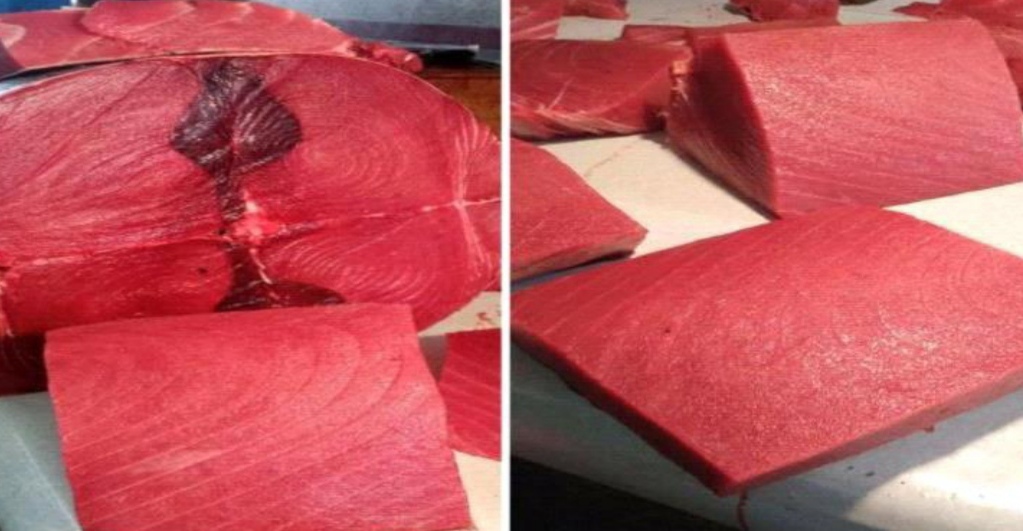 img ٢٠٢٥١٠٢١ ٠٧٤١٠٩