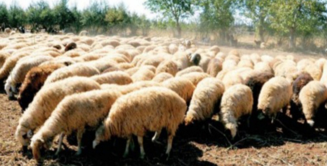 img ٢٠٢٥١٠٢١ ٠٧٤٧١٨