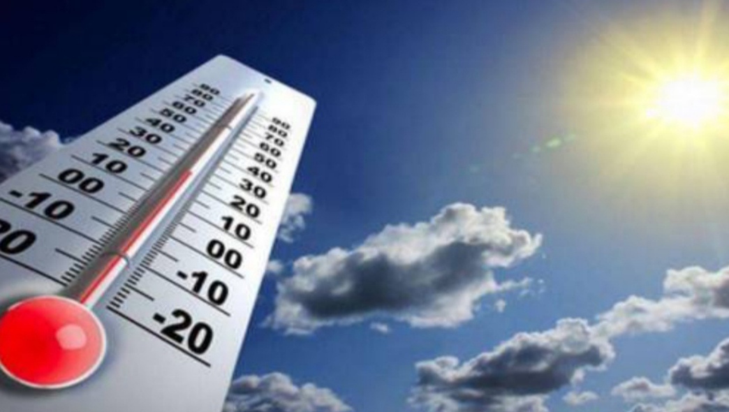 img ٢٠٢٥١٠٢١ ٠٨٠٤٠٢