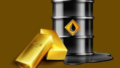 img ٢٠٢٥١٠٢٤ ١٢٠١٢٦