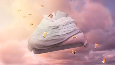 Ù¡Ù¢ Ù¡Ù§ Ù¥Ù¤ 516586 36 1761291924