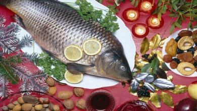 Ù¡Ù¨ Ù¢Ù§ Ù¢Ù¤ 516482 65 1761209805