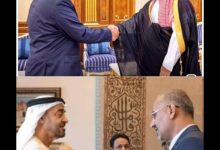 img ٢٠٢٥١٢١٤ ١٧٠٢١٢