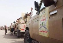 image 1768846326 16232946